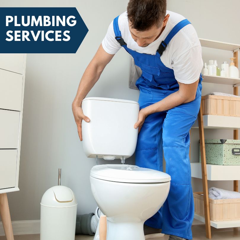 Plumbing Company in Altoona, FL